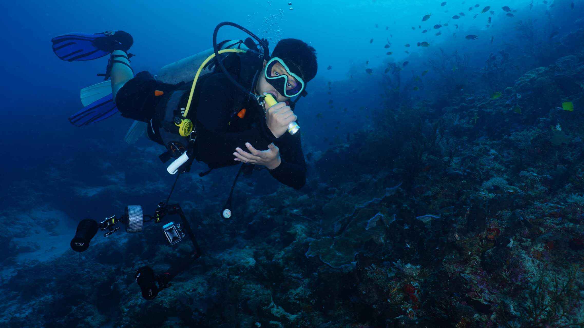 Explore Our High-Performance Diving Flashlights